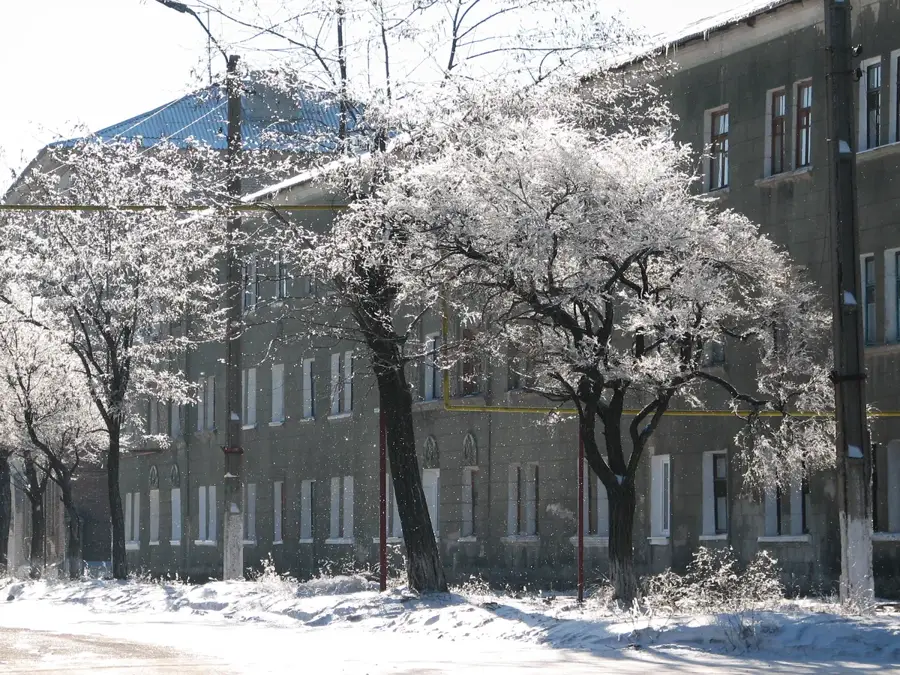 Petrovo-Krasnosillia