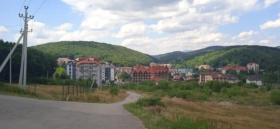 Polyana