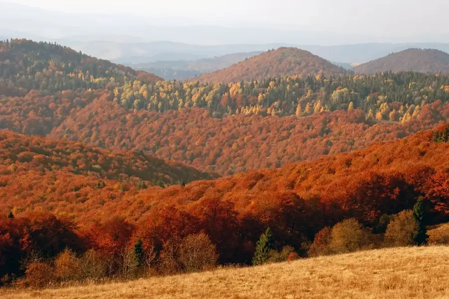 Skolivski Beskydy National Nature Park