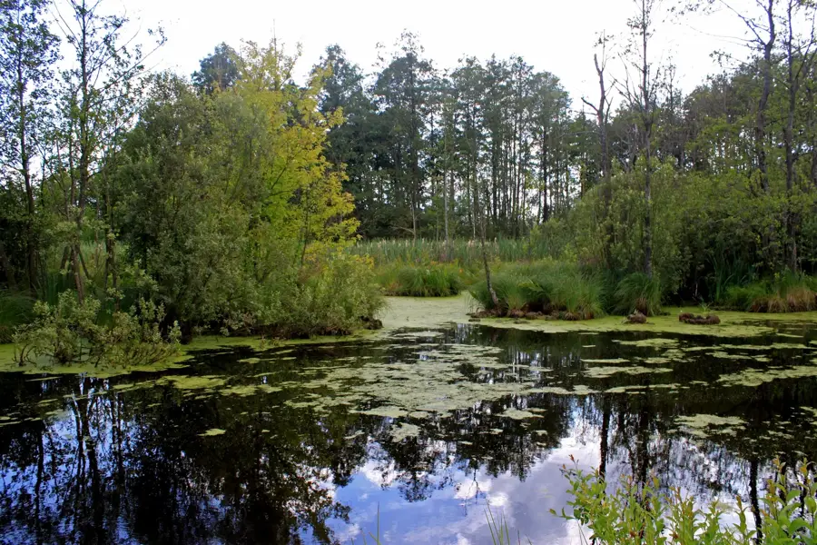 Lake Svityaz