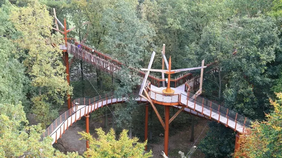 Ulu Temburong Baumkronenweg
