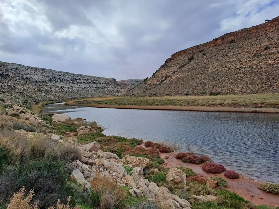 Umm al Rizam — Derna (Libia)