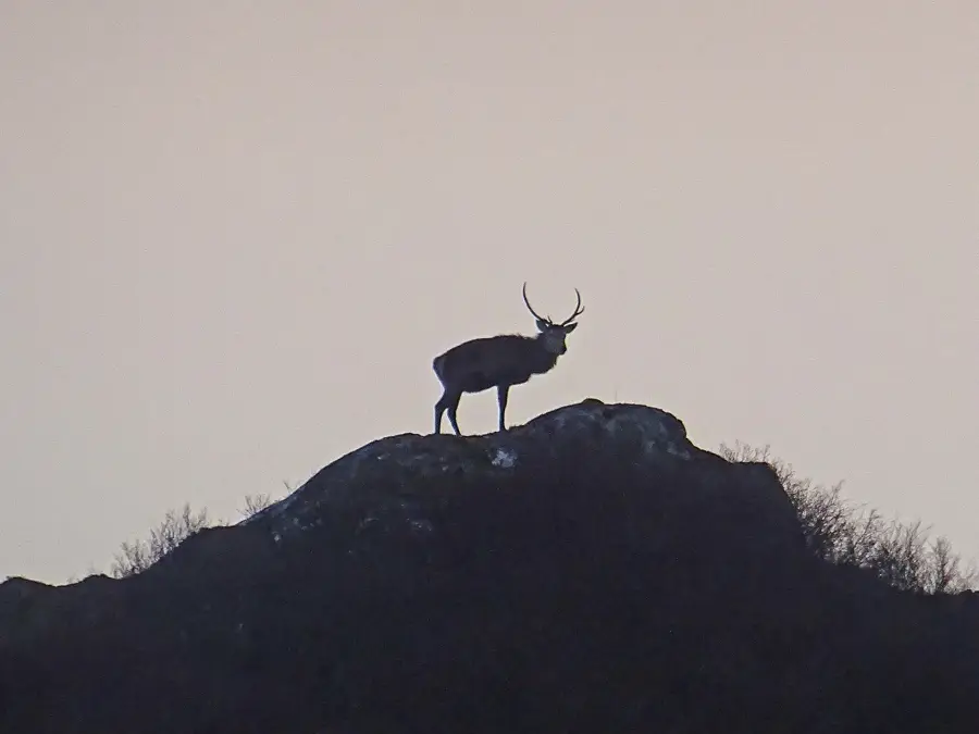 Achmelvich – oraș