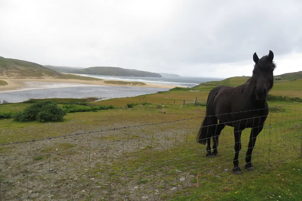 Bettyhill – oraș