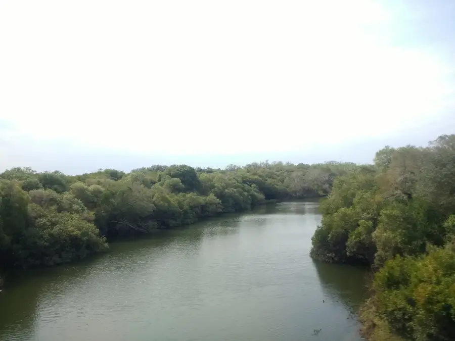 Termas de Guaviyú