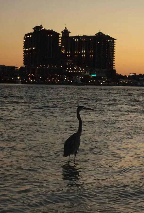 Destin