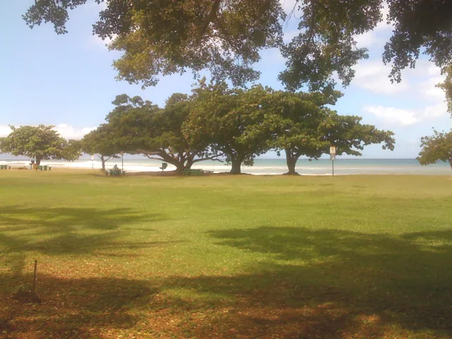 Napili — Haleʻiwa (USA)