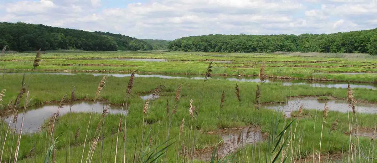 Old Lyme