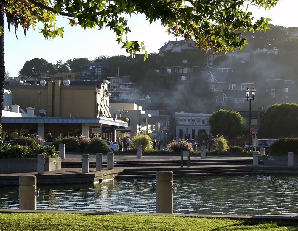 Tiburon