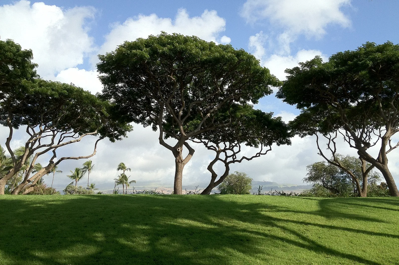 Wailea — Haleʻiwa (USA)