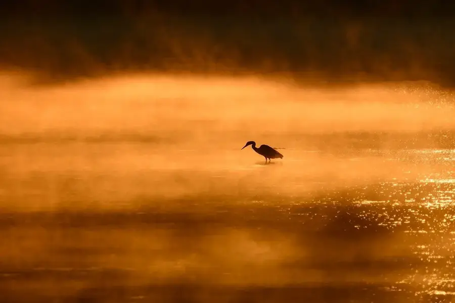 Arnasay Lakes Bird Sanctuary — Jizzakh (Uzbekistan)