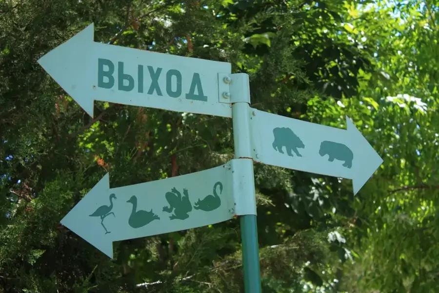 Zoo Taschkent — Schymkent (Kasachstan)