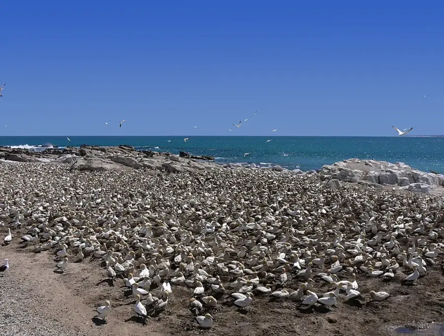 Habitatul Île aux Vaches Marines