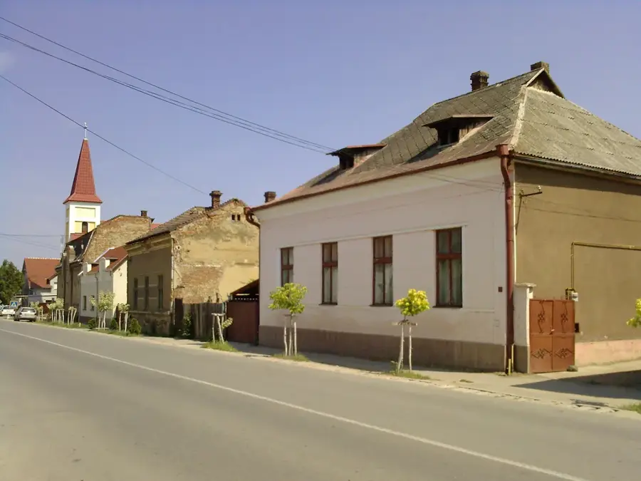 Valea lui Mihai – city