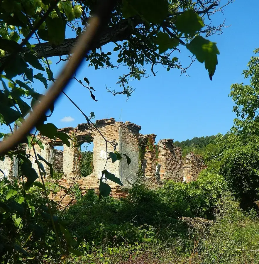 Valea Mare-Podgoria – város