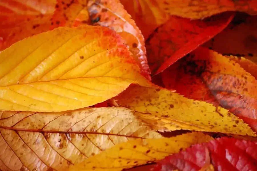 Vallee des Couleurs Nature Park