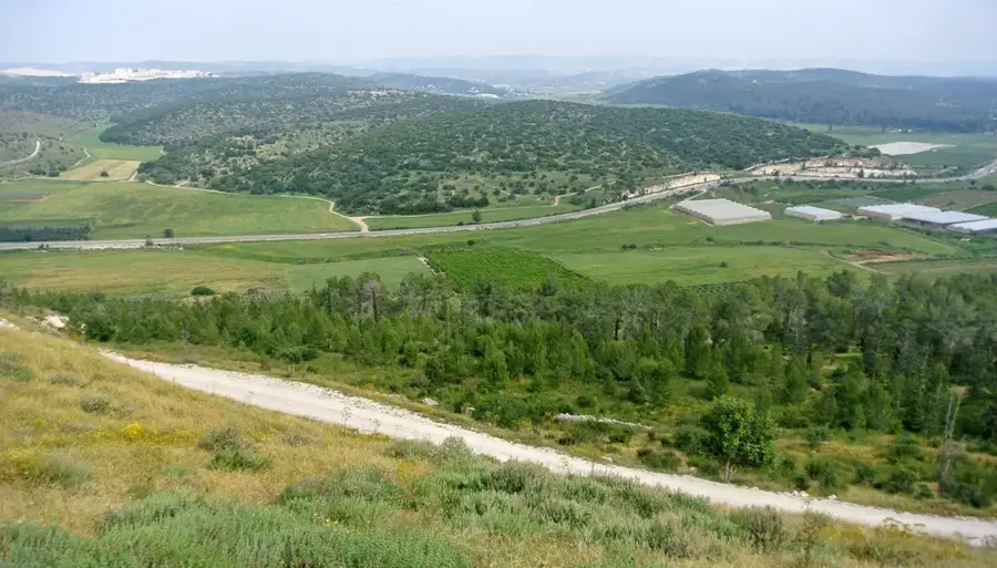 Valea Elah