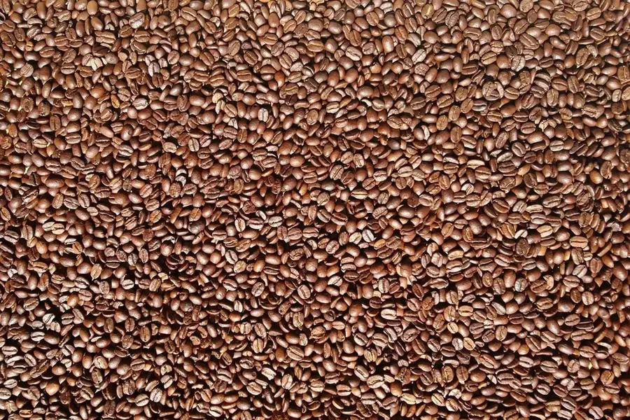 Fabrica de cafea Tanna — Insula Hideaway (Vanuatu)