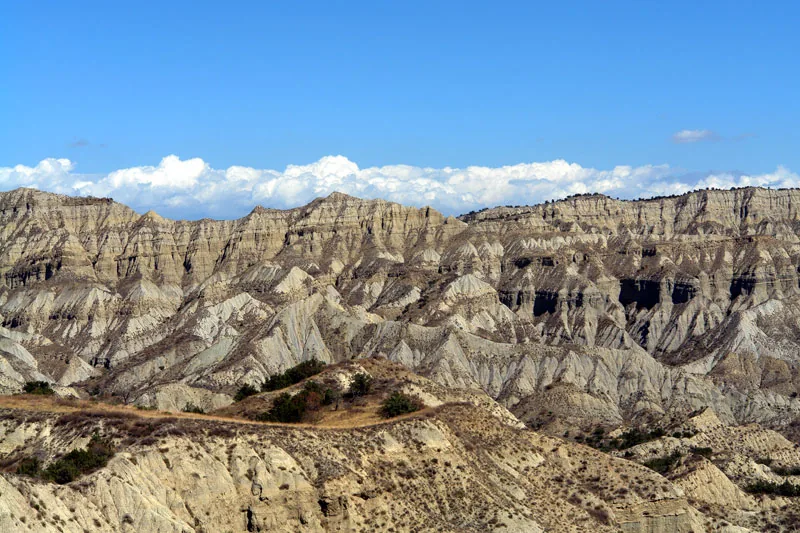Vashlovani National Park — Zagatala State Reserve (Azerbaijan)