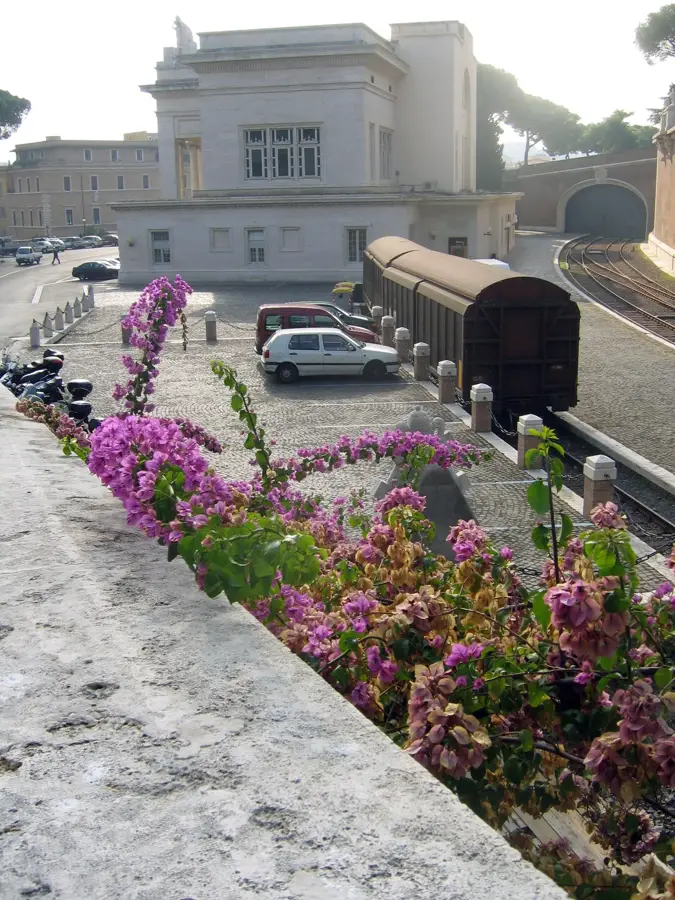 Lebanon Cedars Slope — Papal Crest Flowerbed (Vatican)