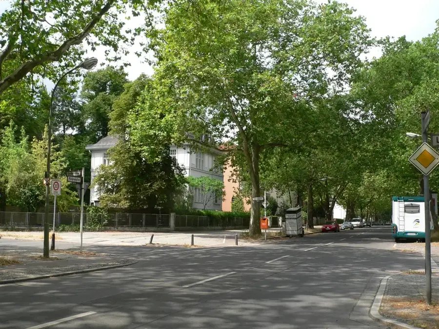 Platánsor