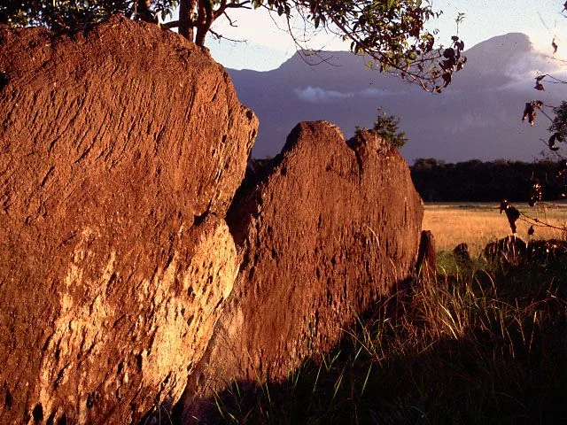 Duida-Marahuaca Nemzeti Park