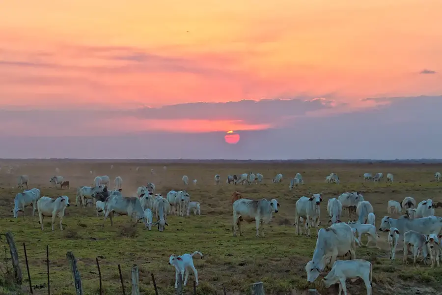Apure-folyó — Los Roques (Venezuela)
