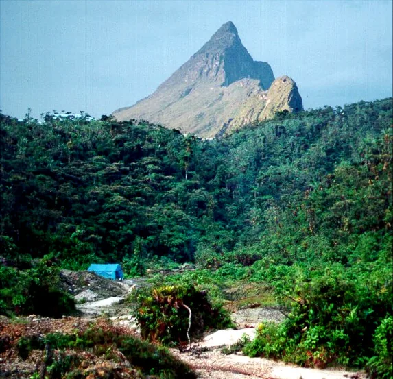 Sierra de la Neblina — Pico da Neblina (Brasilien)