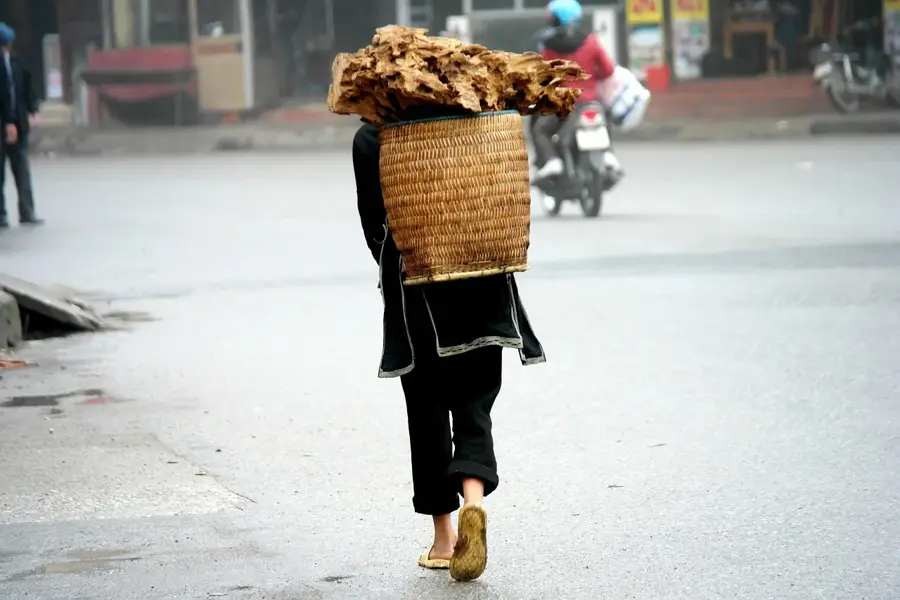 Sapa