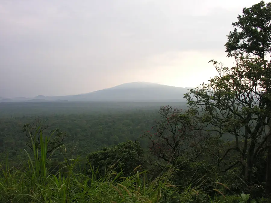 Virunga-Nationalpark — Buhoma (Uganda)