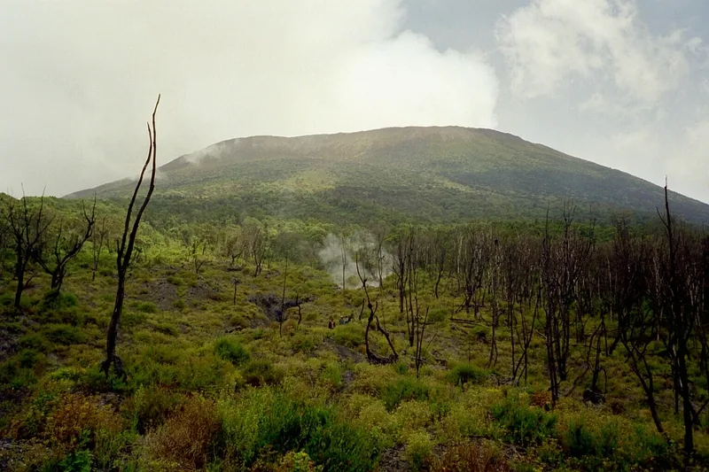 Virunga-Vulkane