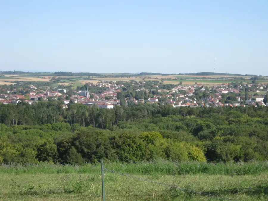 Vittel – oraș