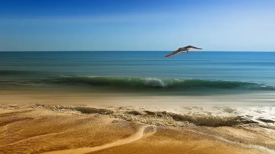 Paradisul păsărilor din Chissioua Mchaco