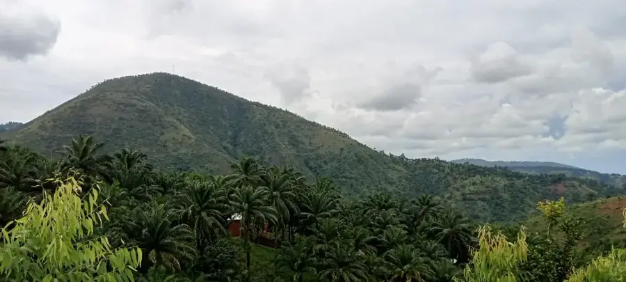 Vyanda