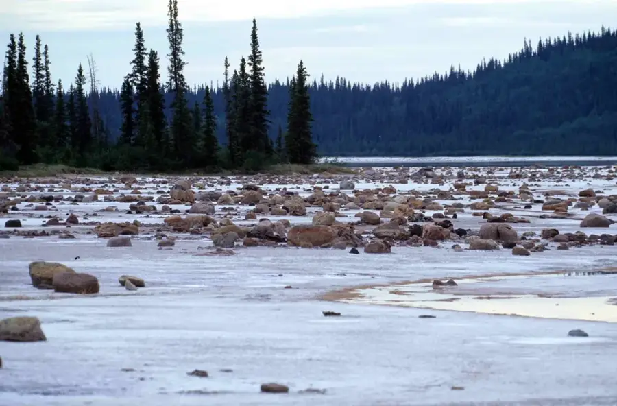 Buffalo Range of the W National Park