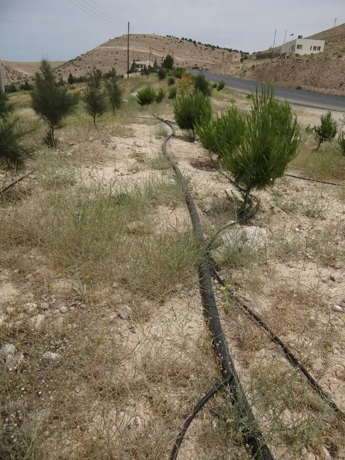 Wadi al-Wala — Madaba (Jordan)