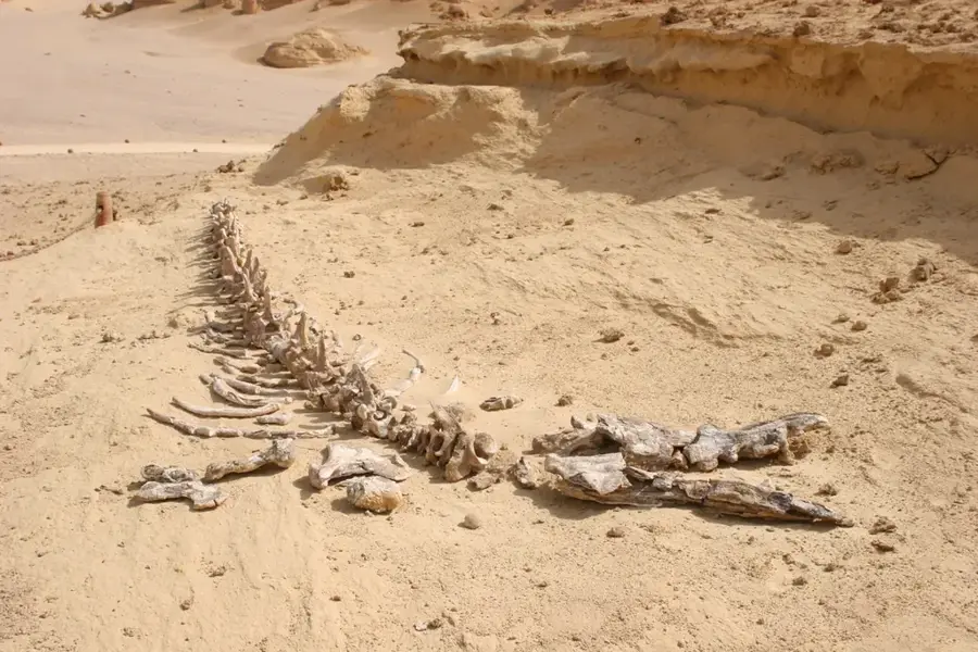 Wadi El Rayan