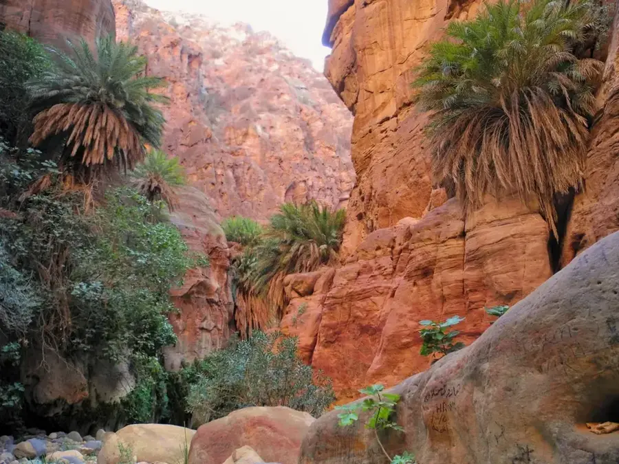 Wadi Ghuweir — Edom Mountains (Jordan)