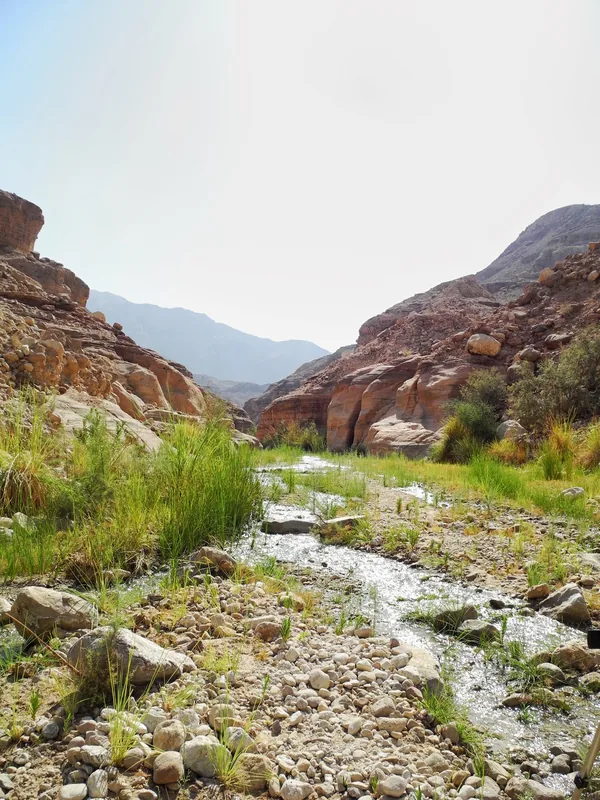 Wadi Numeira — Wadi Bin Hammad (Jordan)