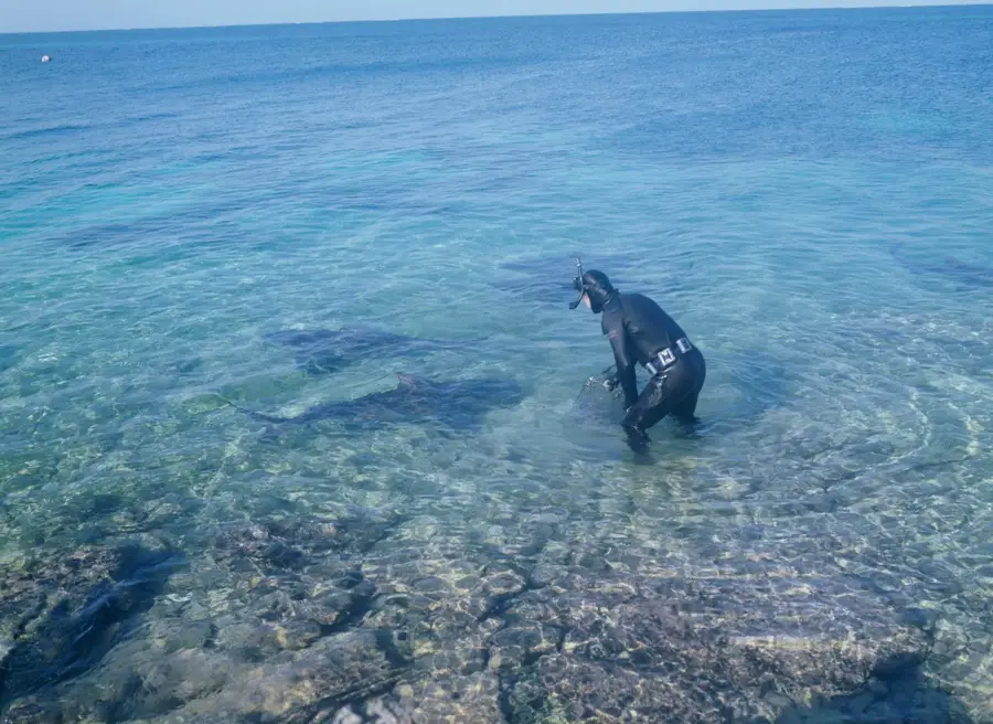 Walker's Cay National Park — Freetown (Bahamas)