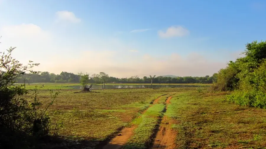 Parcul Național Wasgamuwa — Badulla (Sri Lanka)