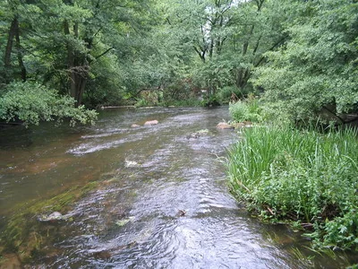 Wele-áttöréses völgy — Bitam (Gabon)