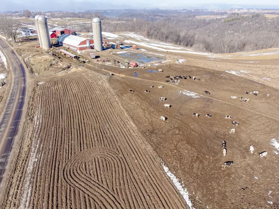 Fermele de lactate din Wisconsin — Springfield (Illinois) (Statele Unite)