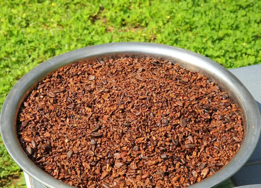 Xai-Xai — Podul Limpopo (Mozambic)