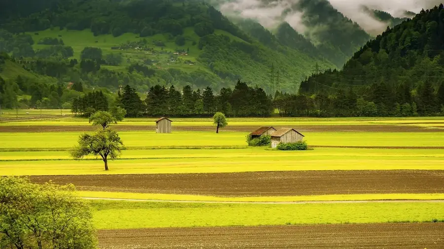 Yagnob Valley Pastures
