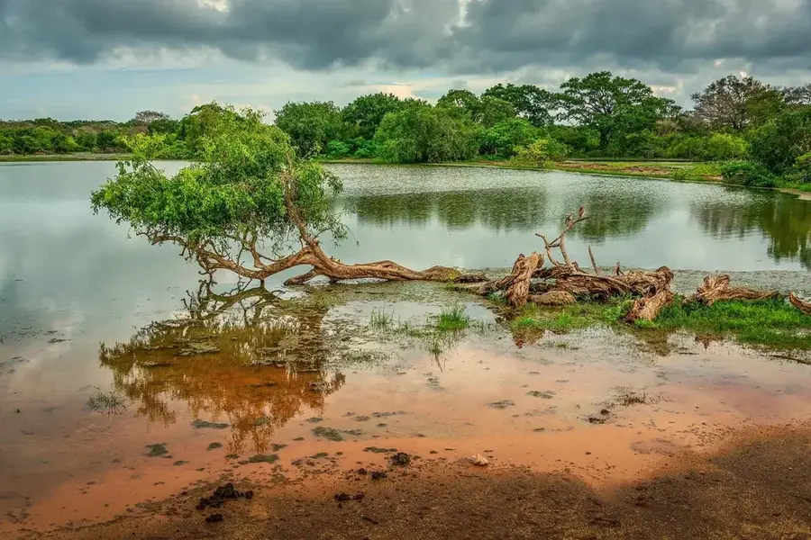 Yala-Fluss — Rusinga Island (Kenia)