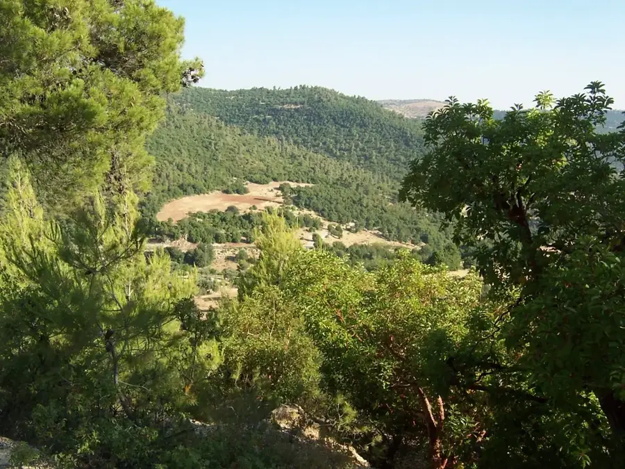 Rezervația Forestieră Yarmouk — Pella (Iordania)