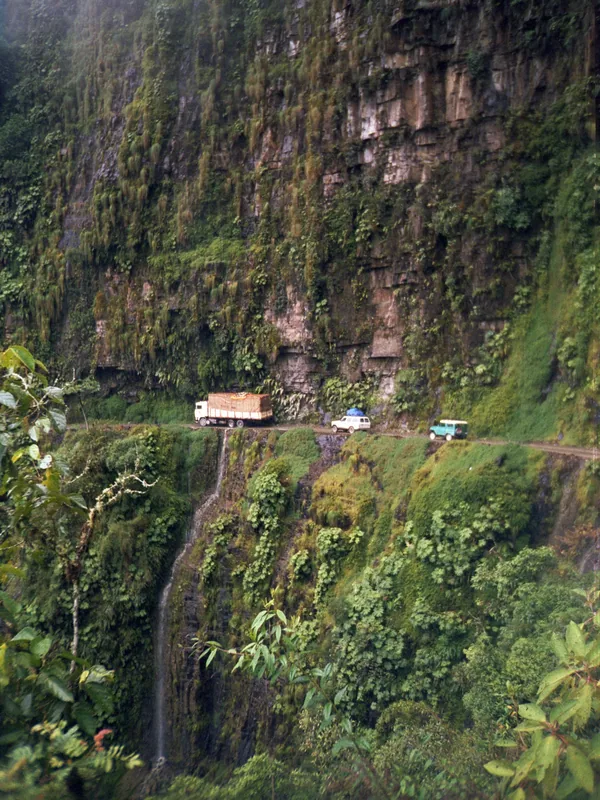 Yungas