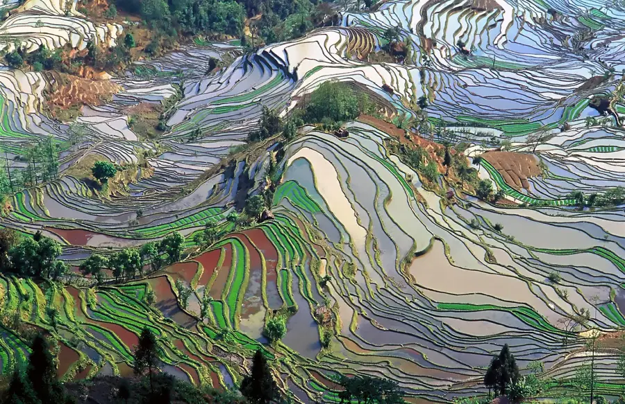 Reisterrassen von Yunnan — Phou Den Din (Laos)