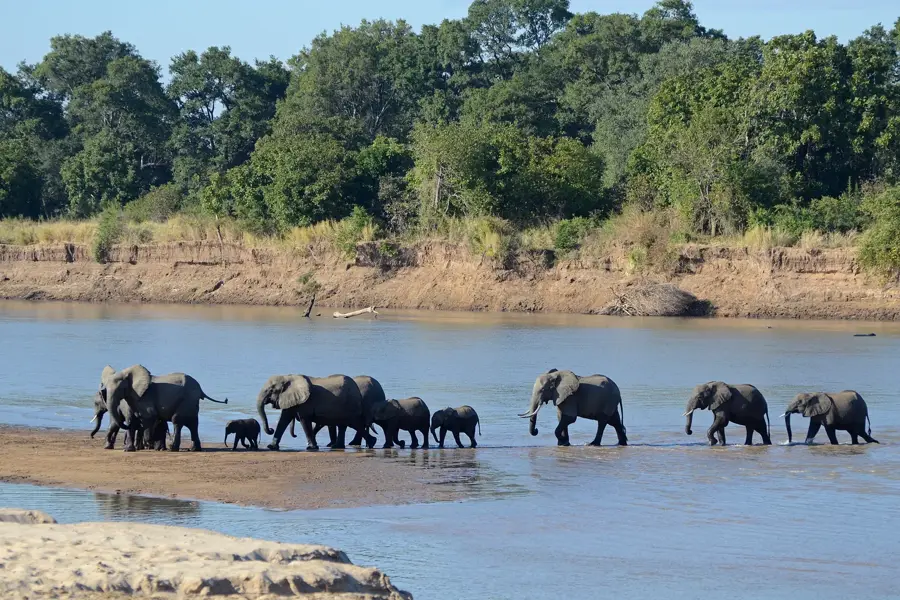 North Luangwa National Park